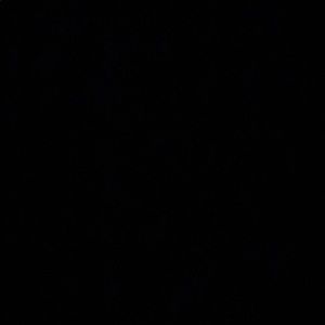 Meet your Posher, Estella